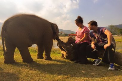 Half Day Morning Happy Elephant Home