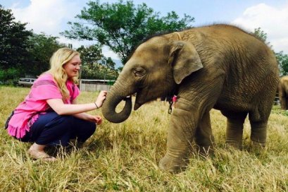 Half Day Afternoon Happy Elephant Home