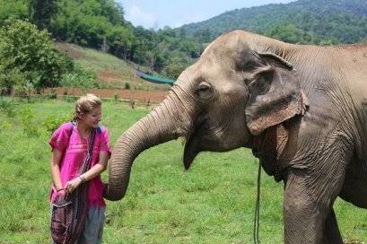 ดูแลช้างเต็มวัน (ไม่มีขี่ช้าง) Happy Elephant Home