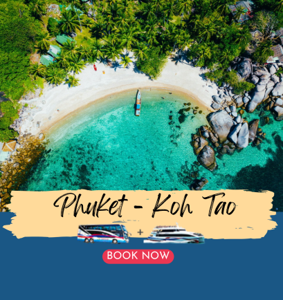 Phuket to Koh Tao (Bus+Catamaran)