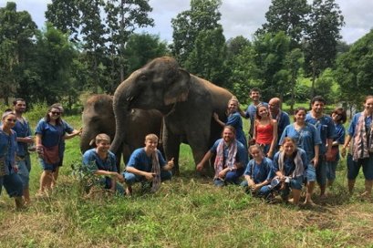 Half Day Afternoon Maerim Elephant Sanctuary