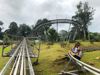 โป่งแยง จังเกิ้ล โคสเตอร์ และซิปไลน์