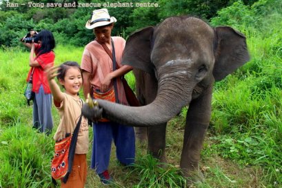Half Day (Afternoon) Ran-Tong Save &amp; Rescue Elephant Centre