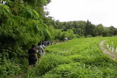 โปรแกรมเต็มวัน เดินป่าอำเภอแม่วาง