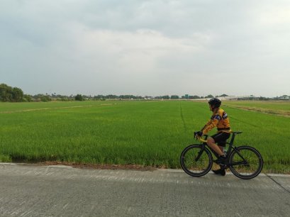Rice Field Visions , CITY BIKING ( Mountain Biking )