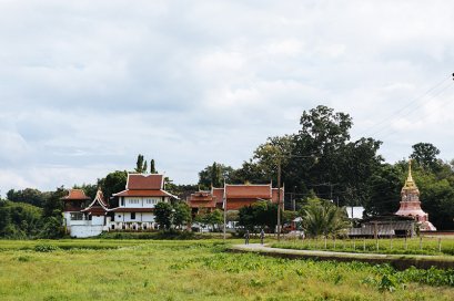 FIELDS OF GOLD ( TRAIL HEAD )