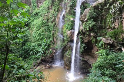 RURAL EXPLORER  ( TRAIL HEAD )