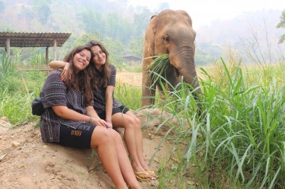 One Day Chiang Mai Elephant Heritage