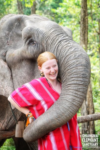 One Day Chiang Mai Elephant Sanctuary