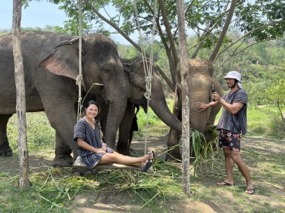 One Day Chiang Mai Elephant Refuge