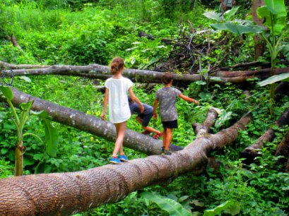 Highlights of Chiang Mai (Roof of Thailand )