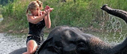 Full days Jungle Safari with Elephant trekking