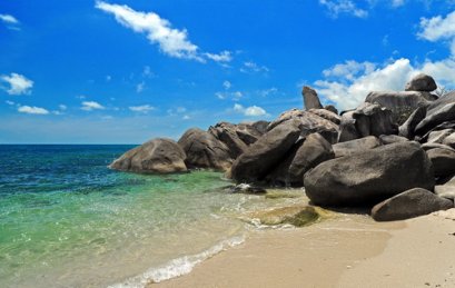 Half day city tour without lunch