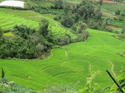 Thai Mountain Eco Trek