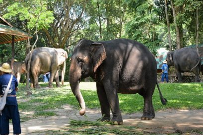 เที่ยวเชียงใหม่ด้วยรถตู้พร้อมคนขับ &quot;ครอบครัวสุขสันต์&quot;