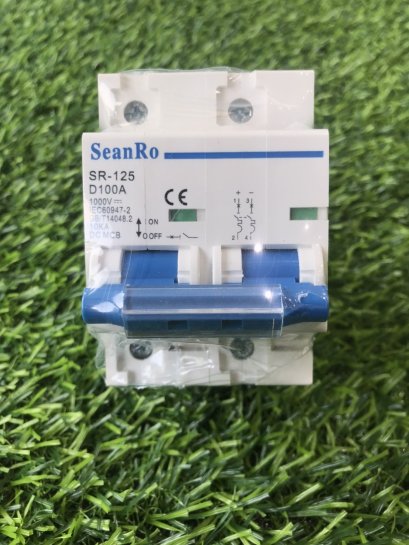 100A DC  breaker  MCB 2P ( 4kV / 10kA )