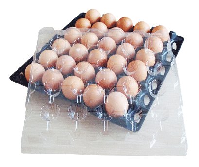 ฝาครอบแผงไข่ 30 ฟอง