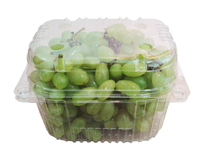 กล่องใส่อินทผลัม 1,000 กรัม มีรูระบาย