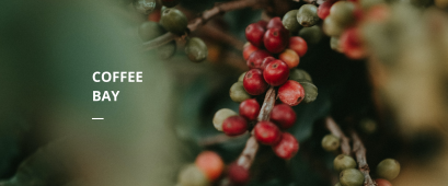 เสื้อผ้าเด็ก29