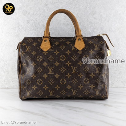 Louis Vuitton Speedy Monogram 30