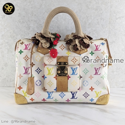 Louis Vuitton Speedy Multicolor White Canvas