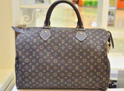 Louis Vuitton speedy minilin 30