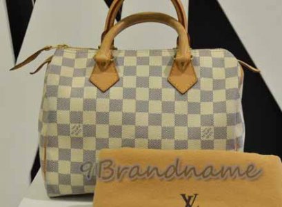 Louis Vuitton Speedy Azur size 25