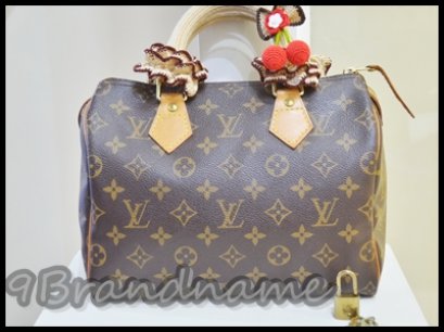 Louis Vuitton Speedy Monogram size 25 with handle