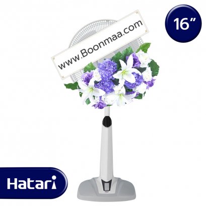 บุญทิวา - 16 นิ้ว (โทนสีม่วง)