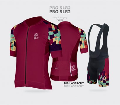 PROSLR2&amp;BIB-