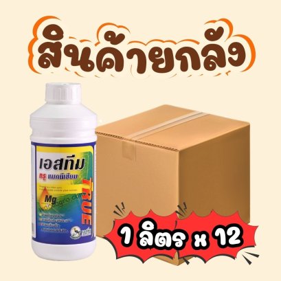 เอสทีม ทรู แมกนีเซียม ยกลัง