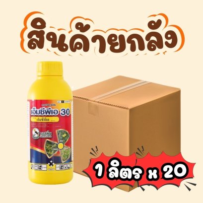 เอ็มพีซีเอ30 เหลือง ยกลัง