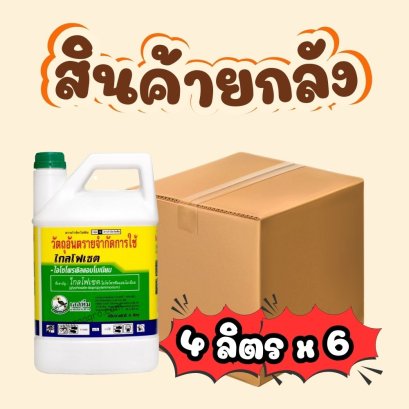 ไกลโฟเซต แกลลอนขาว ยกลัง