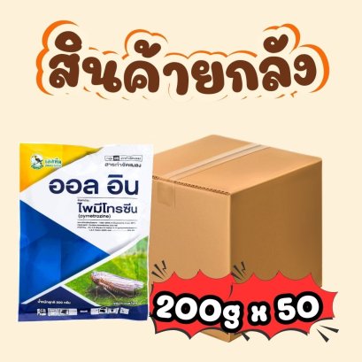 ออลอิน 200 กรัม ยกลัง