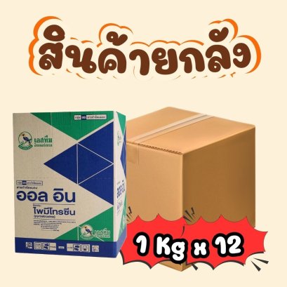 ออลอิน 1 กิโลกรัม ยกลัง
