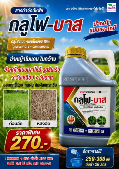 กลูโฟ-บาส