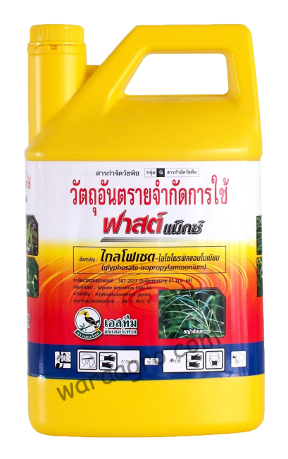 ฟาสต์แม็กซ์