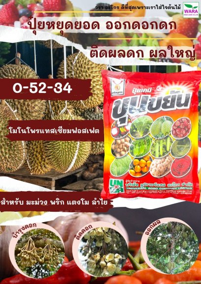 ขุนขยัน 0-52-34