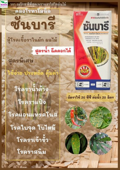 ซันบารี