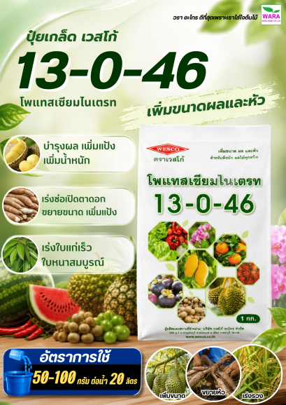 13-0-46 โพเเทสเซียมไนเตรท ไฮฟา