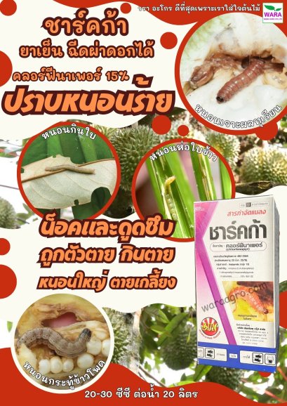 ชาร์คก้า