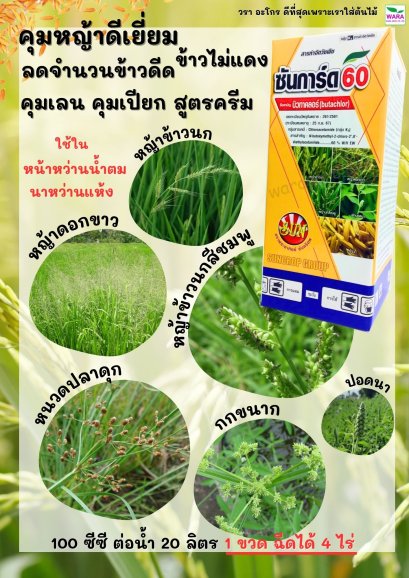 ซันการ์ด60