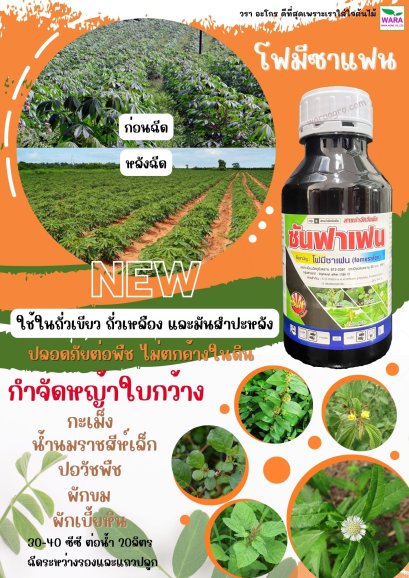 ซันฟาเฟน