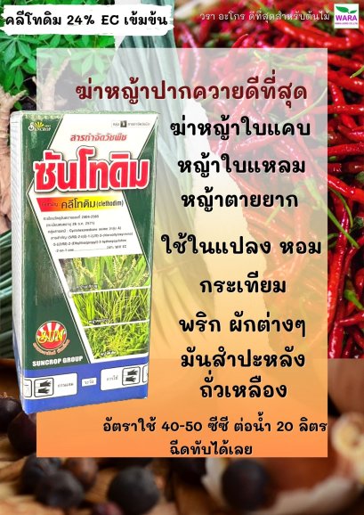 ซันโทดิม