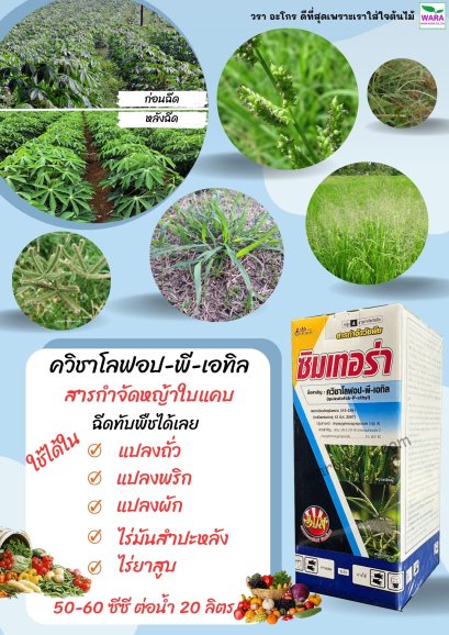 ซิมเทอร่า