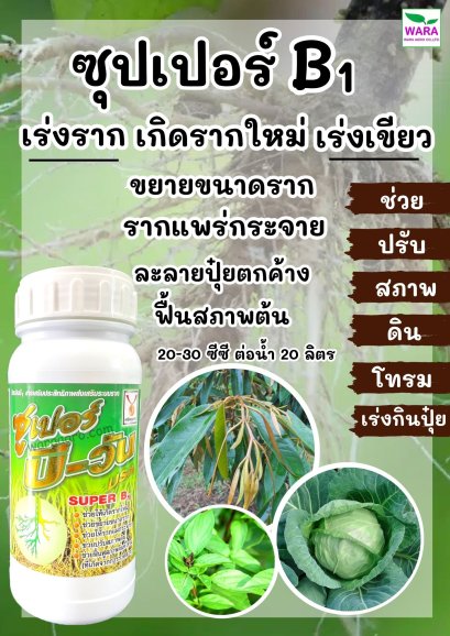 ซุปเปอร์-บี-วัน