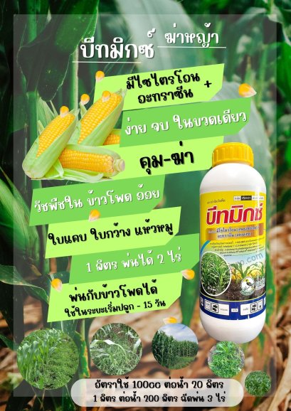 บีทมิกซ์