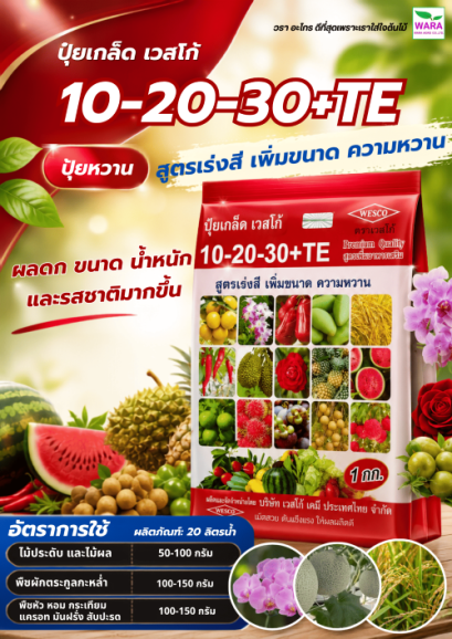 10-20-30+TE