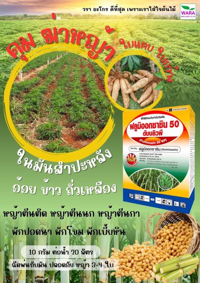 ฟลูมิออกซาซิน50