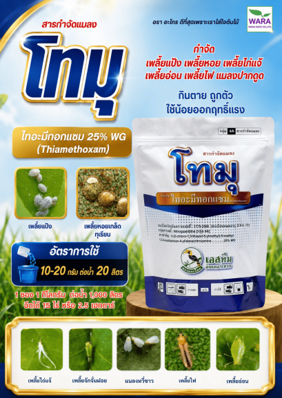 โทมุ ไทอะมีทอกแซม
